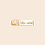 Big Mumbai profile picture