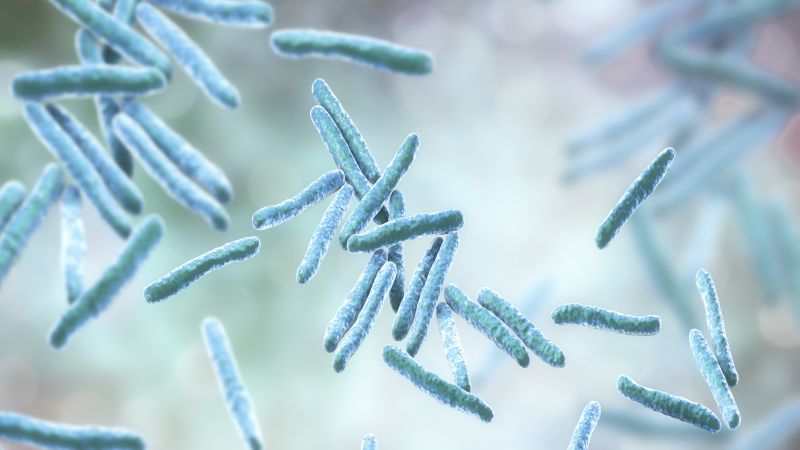 Two dead, dozens sickened in Kansas tuberculosis outbreak | CNN
