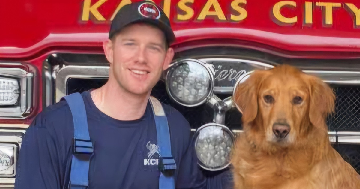 Missouri firefighter paramedic fatally stabbed by patient inside ambulance - CBS News