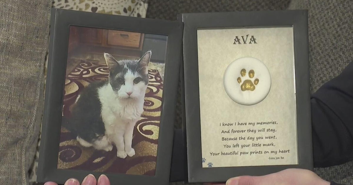 Funeral director threw out thousands of pets' bodies and gave owners different ashes, Pennsylvania prosecutors say - CBS News