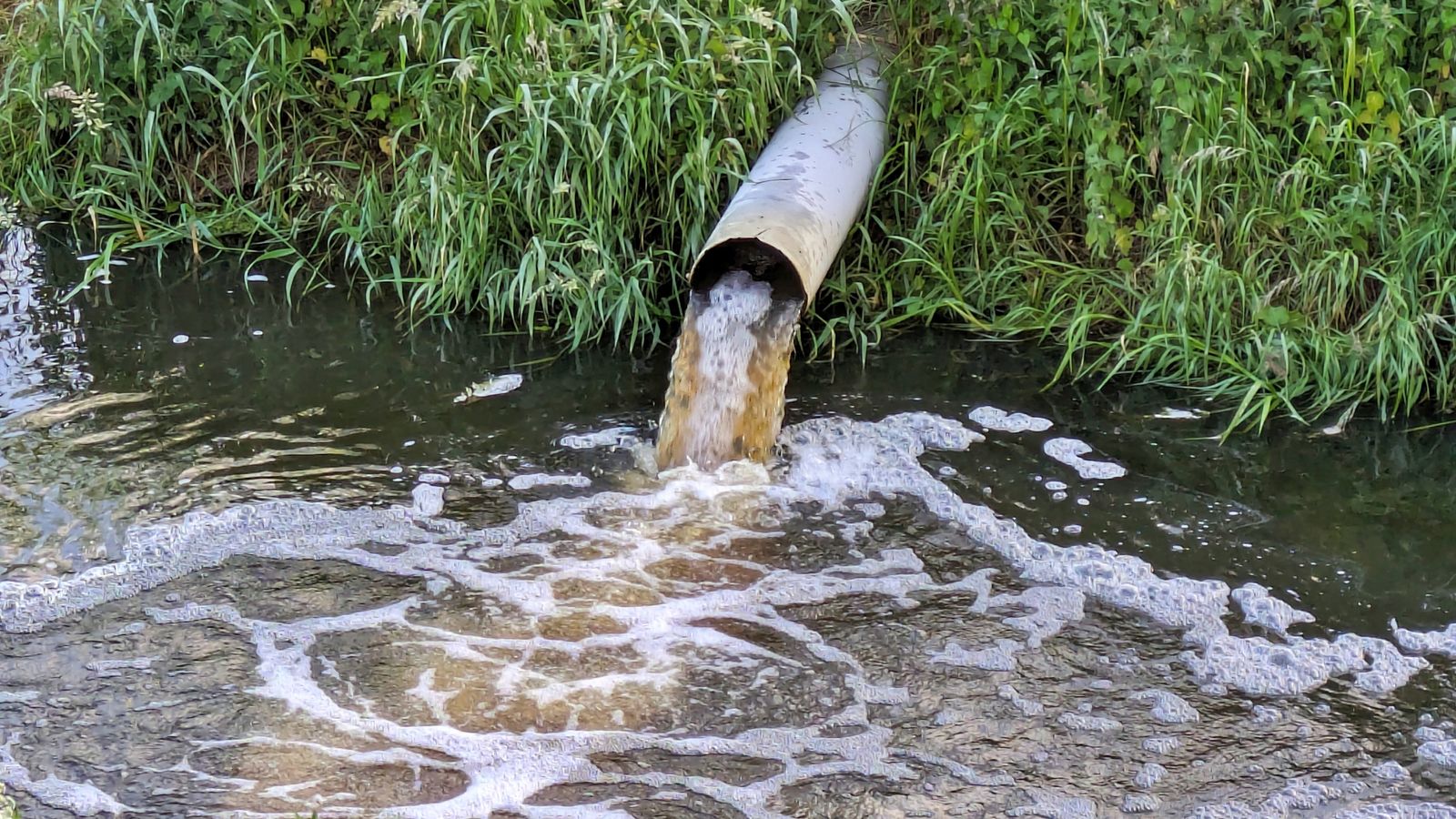 Serious water pollution incidents in England up 60% last year - with three companies blamed for most | Money News | Sky News