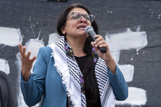 Rashida Tlaib's Unhinged Tweet Got Slapped Down By This GOP Senator With a Simple Note