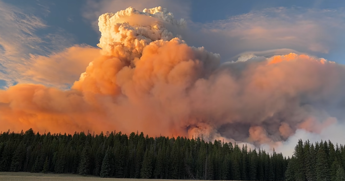 Video shows Grand Canyon wildfire smoke forming huge pyrocumulus cloud as dry conditions fuel flames - CBS News