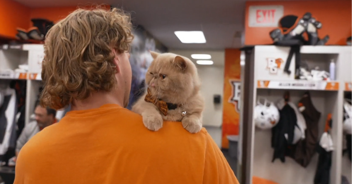 Pudge, Bowling Green's unlikely new football mascot, is attracting a legion of fans - CBS News