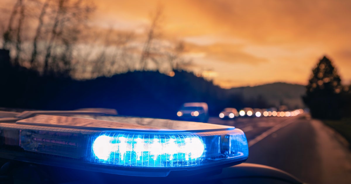 Honduran man killed on Virginia highway as he tried to escape ICE agents - CBS News
