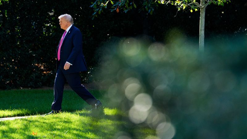 Donald Trump is not on the ballot, but he’s a major factor in the November elections | CNN Politics