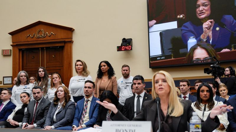 Published Epstein files included video showing the face of an undercover FBI employee | CNN Politics