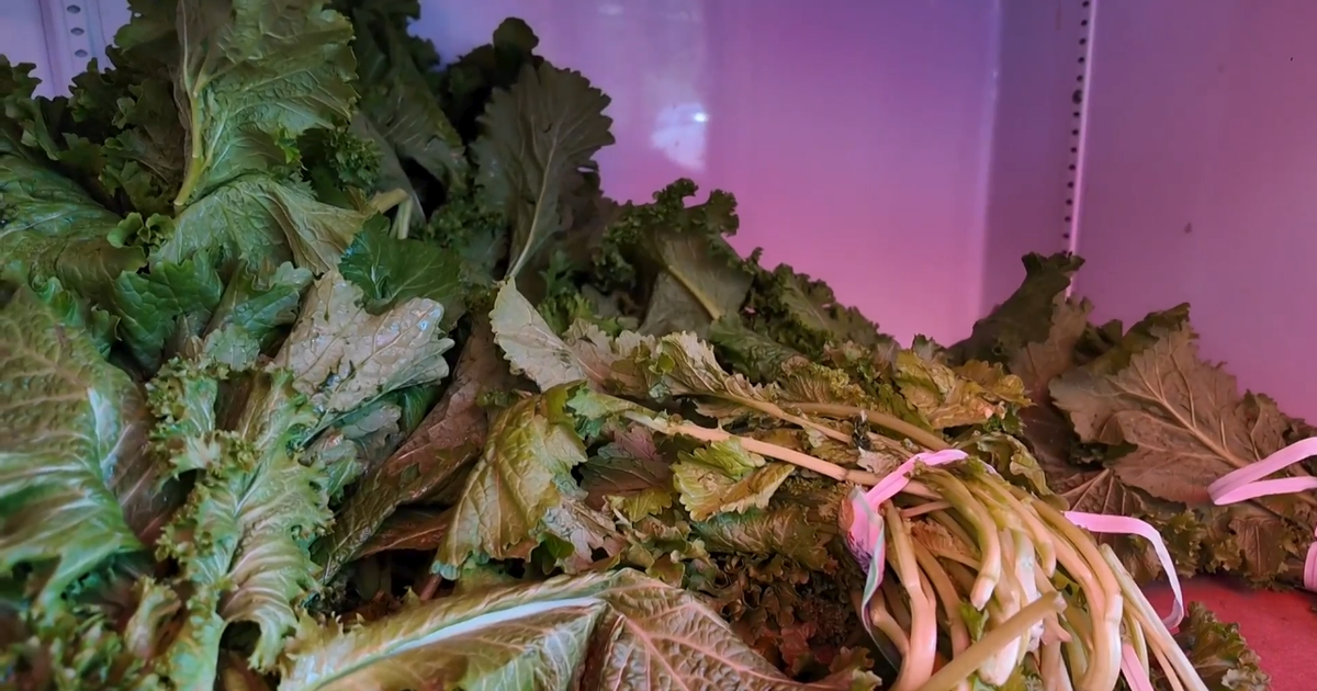 Cyclospora outbreak has many changing eating habits, CBS News poll finds; mixed and partisan confidence in FDA - CBS News