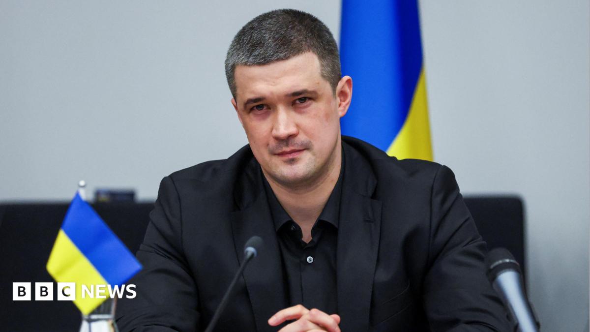 Sacked Ukrainian defence minister calls for presidential election - BBC News