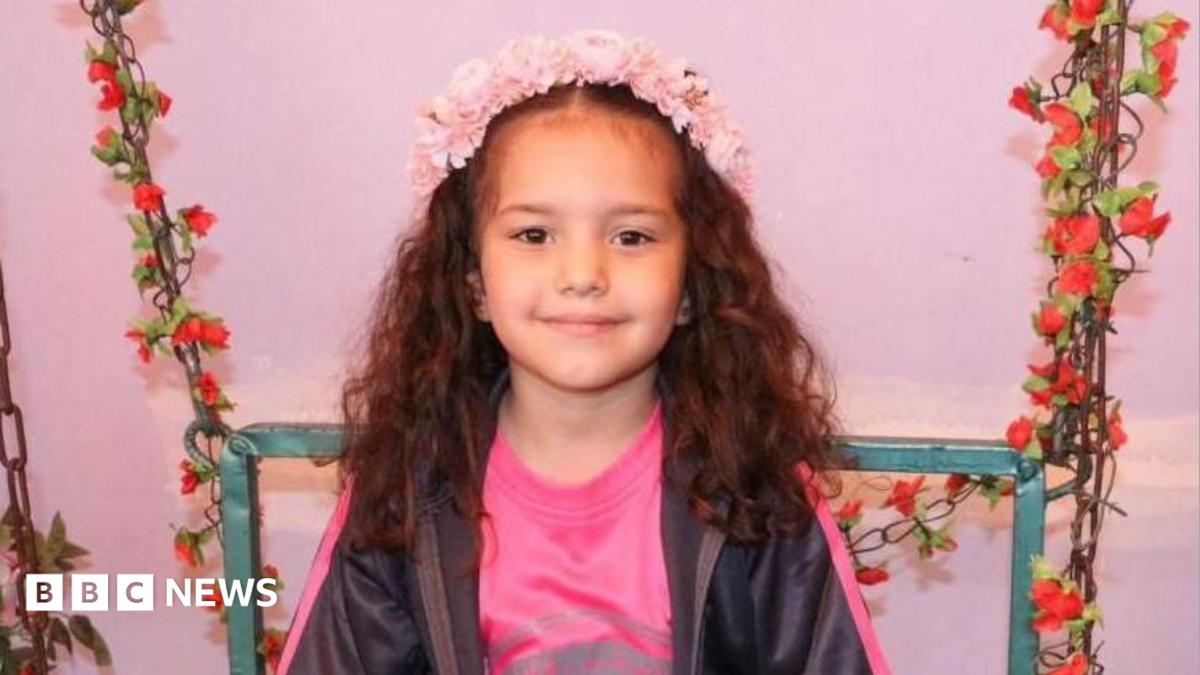 Israeli army orders criminal investigation into killing of Palestinian girl Hind Rajab in Gaza - BBC News